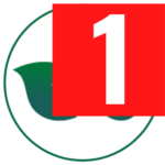 loranoliviahealth2.pages.dev favicon
